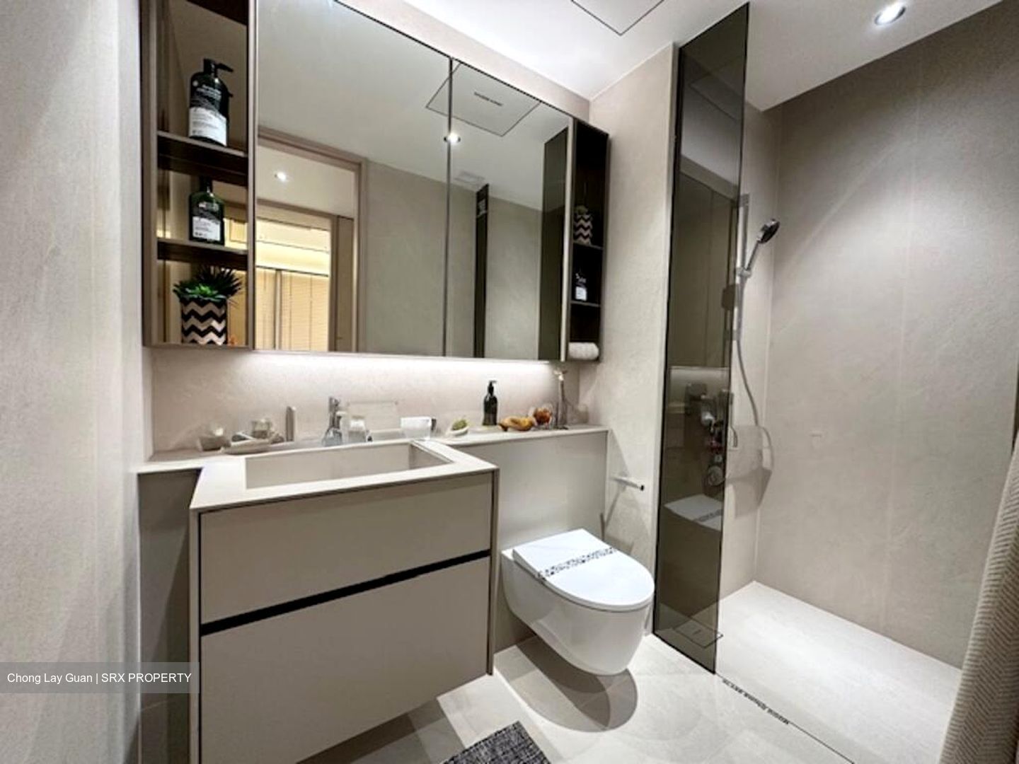 Union Square Residences (D1), Condominium #496154621